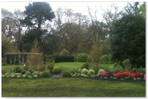 Shrub border refurbishment with extensive replanting