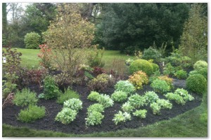 Shrub border refurbishment with extensive replanting