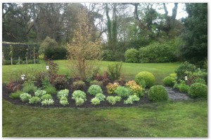 Shrub border refurbishment with extensive replanting