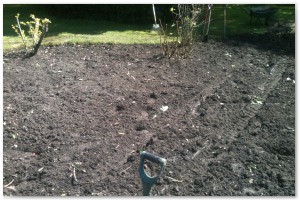 Shrub border refurbishment with extensive replanting