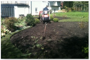 Shrub border refurbishment with extensive replanting