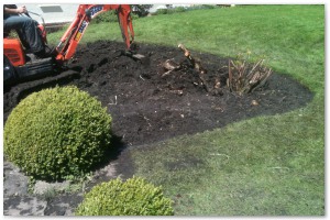 Shrub border refurbishment with extensive replanting