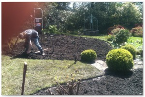 Shrub border refurbishment with extensive replanting