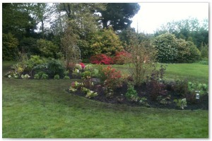 Shrub border refurbishment with extensive replanting