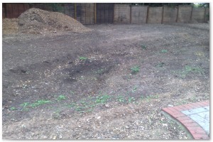 Lyndhurst Landscaping carried out woodland clearance followed by extensive replanting and landscaping. The end results are fantastic.