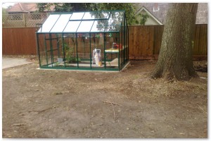 Lyndhurst Landscaping carried out woodland clearance followed by extensive replanting and landscaping. The end results are fantastic.