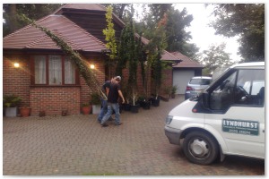 Lyndhurst Landscaping carried out woodland clearance followed by extensive replanting and landscaping. The end results are fantastic.