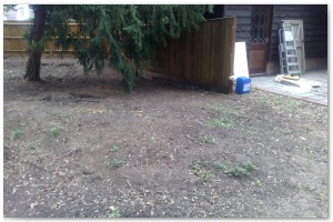 Lyndhurst Landscaping carried out woodland clearance followed by extensive replanting and landscaping. The end results are fantastic.