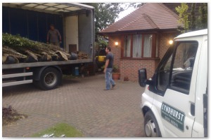Lyndhurst Landscaping carried out woodland clearance followed by extensive replanting and landscaping. The end results are fantastic.