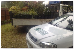 Lyndhurst Landscaping carried out woodland clearance followed by extensive replanting and landscaping. The end results are fantastic.