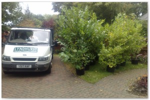 Lyndhurst Landscaping carried out woodland clearance followed by extensive replanting and landscaping. The end results are fantastic.
