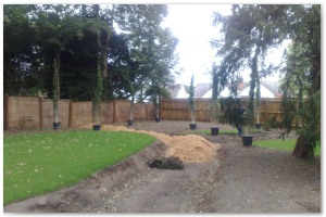 Lyndhurst Landscaping carried out woodland clearance followed by extensive replanting and landscaping. The end results are fantastic.