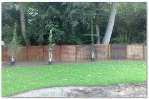 Lyndhurst Landscaping carried out woodland clearance followed by extensive replanting and landscaping. The end results are fantastic.