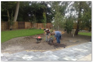 Lyndhurst Landscaping carried out woodland clearance followed by extensive replanting and landscaping. The end results are fantastic.