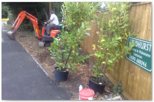 Lyndhurst Landscaping carried out woodland clearance followed by extensive replanting and landscaping. The end results are fantastic.