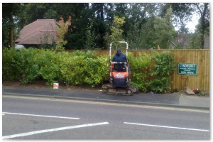 Lyndhurst Landscaping carried out woodland clearance followed by extensive replanting and landscaping. The end results are fantastic.