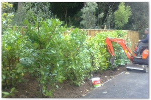 Lyndhurst Landscaping carried out woodland clearance followed by extensive replanting and landscaping. The end results are fantastic.