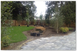 Lyndhurst Landscaping carried out woodland clearance followed by extensive replanting and landscaping. The end results are fantastic.