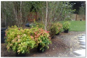 Lyndhurst Landscaping carried out woodland clearance followed by extensive replanting and landscaping. The end results are fantastic.