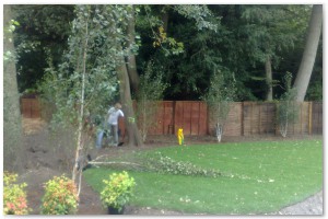 Lyndhurst Landscaping carried out woodland clearance followed by extensive replanting and landscaping. The end results are fantastic.