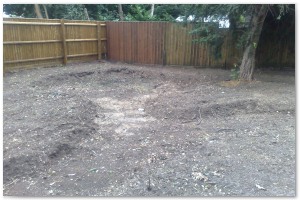 Lyndhurst Landscaping carried out woodland clearance followed by extensive replanting and landscaping. The end results are fantastic.