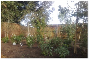 Lyndhurst Landscaping carried out woodland clearance followed by extensive replanting and landscaping. The end results are fantastic.