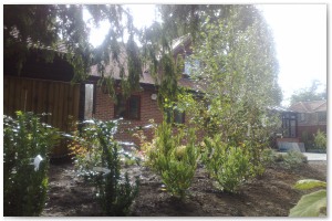 Lyndhurst Landscaping carried out woodland clearance followed by extensive replanting and landscaping. The end results are fantastic.