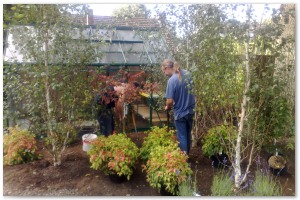 Lyndhurst Landscaping carried out woodland clearance followed by extensive replanting and landscaping. The end results are fantastic.