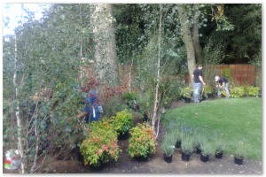 Lyndhurst Landscaping carried out woodland clearance followed by extensive replanting and landscaping. The end results are fantastic.