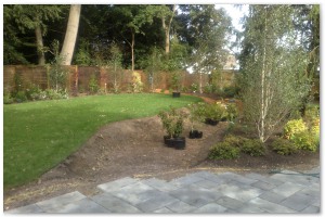 Lyndhurst Landscaping carried out woodland clearance followed by extensive replanting and landscaping. The end results are fantastic.