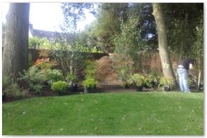 Lyndhurst Landscaping carried out woodland clearance followed by extensive replanting and landscaping. The end results are fantastic.