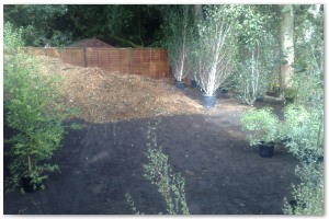 Lyndhurst Landscaping carried out woodland clearance followed by extensive replanting and landscaping. The end results are fantastic.