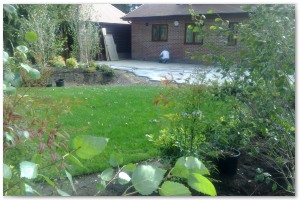 Lyndhurst Landscaping carried out woodland clearance followed by extensive replanting and landscaping. The end results are fantastic.
