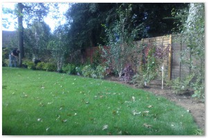 Lyndhurst Landscaping carried out woodland clearance followed by extensive replanting and landscaping. The end results are fantastic.