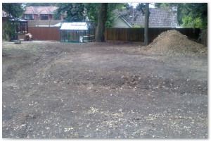 Lyndhurst Landscaping carried out woodland clearance followed by extensive replanting and landscaping. The end results are fantastic.