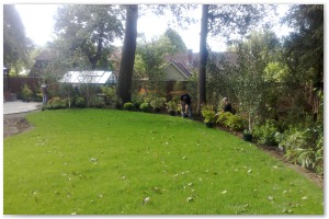 Lyndhurst Landscaping carried out woodland clearance followed by extensive replanting and landscaping. The end results are fantastic.