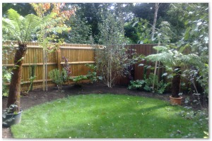 Lyndhurst Landscaping carried out woodland clearance followed by extensive replanting and landscaping. The end results are fantastic.