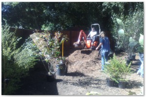 Lyndhurst Landscaping carried out woodland clearance followed by extensive replanting and landscaping. The end results are fantastic.