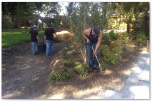 Lyndhurst Landscaping carried out woodland clearance followed by extensive replanting and landscaping. The end results are fantastic.