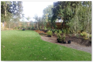 Lyndhurst Landscaping carried out woodland clearance followed by extensive replanting and landscaping. The end results are fantastic.