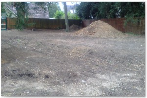 Lyndhurst Landscaping carried out woodland clearance followed by extensive replanting and landscaping. The end results are fantastic.