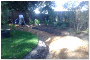 Lyndhurst Landscaping carried out woodland clearance followed by extensive replanting and landscaping. The end results are fantastic.