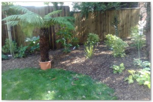 Lyndhurst Landscaping carried out woodland clearance followed by extensive replanting and landscaping. The end results are fantastic.