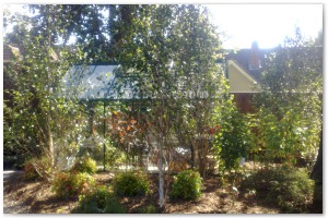 Lyndhurst Landscaping carried out woodland clearance followed by extensive replanting and landscaping. The end results are fantastic.