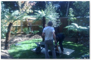 Lyndhurst Landscaping carried out woodland clearance followed by extensive replanting and landscaping. The end results are fantastic.