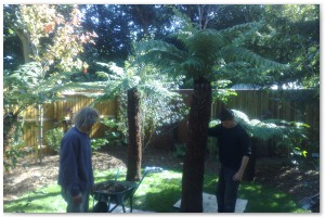 Lyndhurst Landscaping carried out woodland clearance followed by extensive replanting and landscaping. The end results are fantastic.