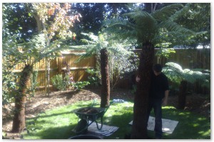 Lyndhurst Landscaping carried out woodland clearance followed by extensive replanting and landscaping. The end results are fantastic.