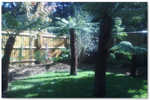 Lyndhurst Landscaping carried out woodland clearance followed by extensive replanting and landscaping. The end results are fantastic.