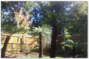 Lyndhurst Landscaping carried out woodland clearance followed by extensive replanting and landscaping. The end results are fantastic.