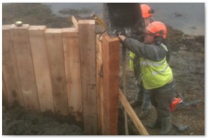 Dock refurbishment works, clearing the old dock of silt and buildup, reinforcing embankments and landscaping surrounding land.
